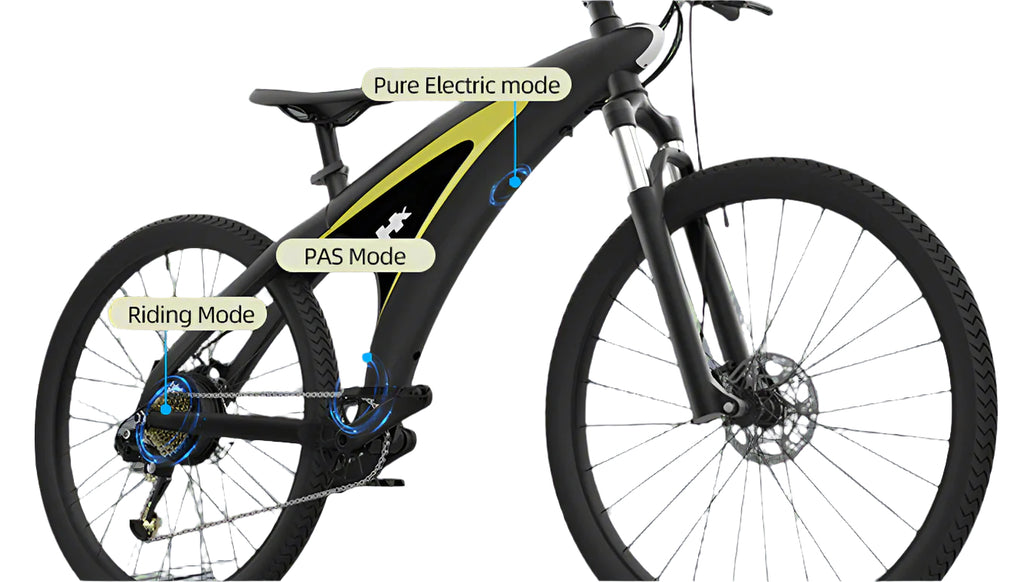 Q5 Electric Hybrid Bike with 100km Range & 9-Speed Gear – Conquer Any Terrain