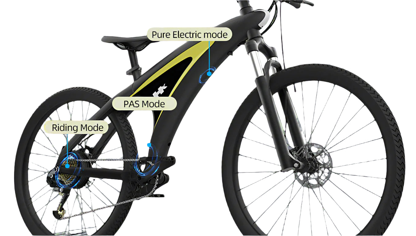 Q5 Electric Hybrid Bike with 100km Range & 9-Speed Gear – Conquer Any Terrain