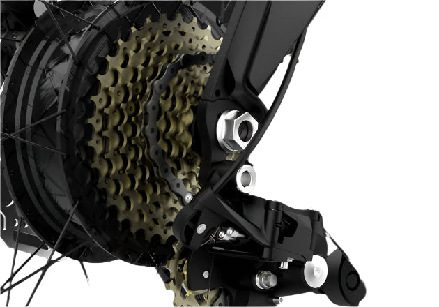 Q5 Electric Hybrid Bike with 100km Range & 9-Speed Gear – Conquer Any Terrain