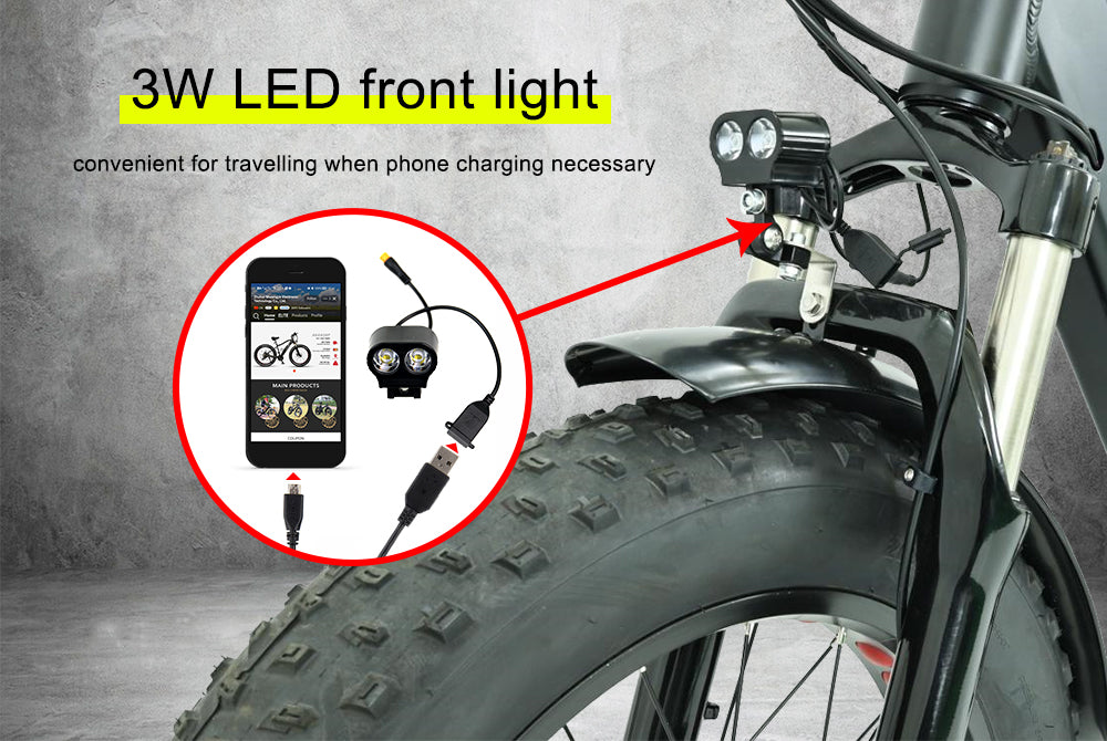 Electric Cargo Tricycle – 20" Fat Tyre E-Bike with Spacious Rear Basket for Ultimate Utility ET20F