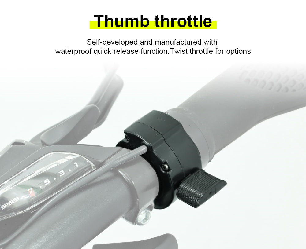 Electric Cargo Tricycle – 20" Fat Tyre E-Bike with Spacious Rear Basket for Ultimate Utility ET20F