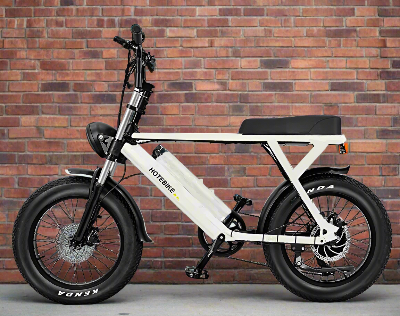 No Limits, Just Power – HOTEBIKE S731 Fat Tyre E-Bike with 48V and 500W Performance White